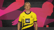 Borussia Dortmund Football GIF by Bundesliga