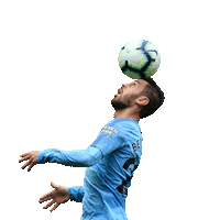 premier league man city sticker Sticker by Manchester City