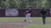 salukigifs yes GIF by SIUSalukis