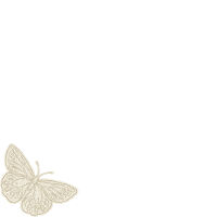 Butterfly Sticker by Tocco Toscano