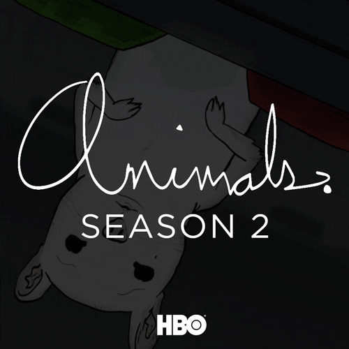 mark duplass cats GIF by Animals