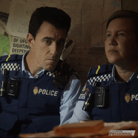 What We Do In The Shadows GIF by Wellington Paranormal