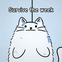 Hanging On Over It GIF by MESA My Emotional Support Animal