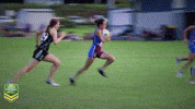 Sq GIF by Touch Football Australia