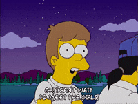 homer simpson episode 20 GIF