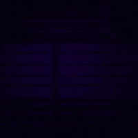 Francis Ngannou Sport GIF by RightNow