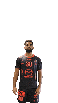 Handball Dragon Sticker by HCCA