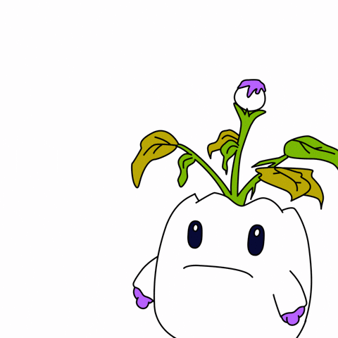 Shocked Bad Hair Day GIF by Magic Eden