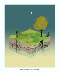 danielbarreto art animation gif illustration GIF