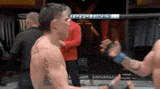 Brian Kelleher Hug GIF by UFC