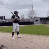 Tung GIF