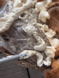 Making Of Mask GIF by Alex Boya