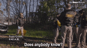 Reno 911 GIF by The Roku Channel