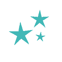 Star Sticker