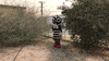Protect Public Health GIF by SGVmosquito