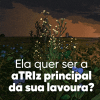Sojacorteva GIF by Corteva Brasil