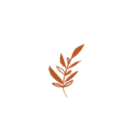 anahineiro floral primavera otoño hojas Sticker