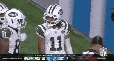 robby anderson football GIF by NFL