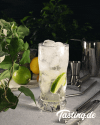 tastingde drink bar drinks cocktails GIF