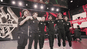 Team Posing GIF by G2 Esports