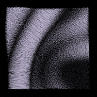 black and white loop GIF by roberthruska