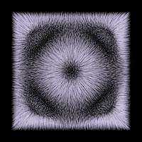 Black And White Beauty GIF by roberthruska