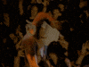 Kurt Cobain Lithium GIF by Nirvana