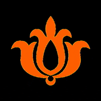 handarajeans jeans handara GIF