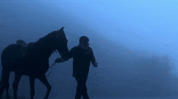 Chiru GIF by Sharat overseas distribution