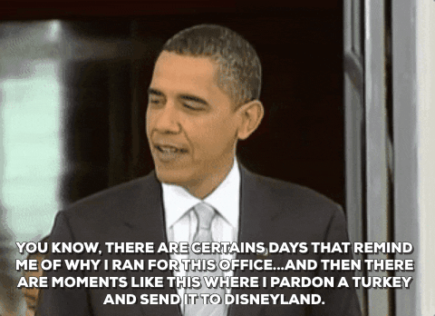 barack obama turkey GIF by Obama