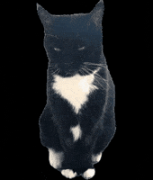 Wasnt Me GIF