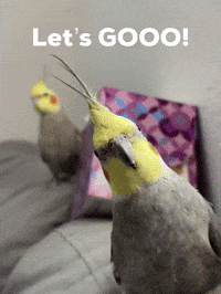 Lets Go GIF