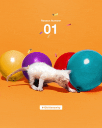 Save Them All Best Friends GIF by Best Friends Animal Society