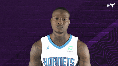 Terry Rozier Sport GIF by Charlotte Hornets
