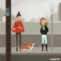 Happy Dog GIF by Animation Domination High-Def