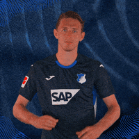 Sport Bundesliga GIF by TSG Hoffenheim