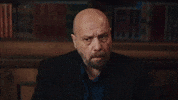 Kızılcık Şerbeti GIF by Show TV