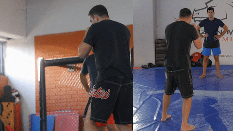 MMAcoach79 giphyupload ufc 241 mma training ufc training GIF