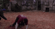 friends tv GIF