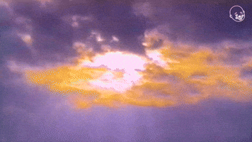 Love, A Four Letter Word