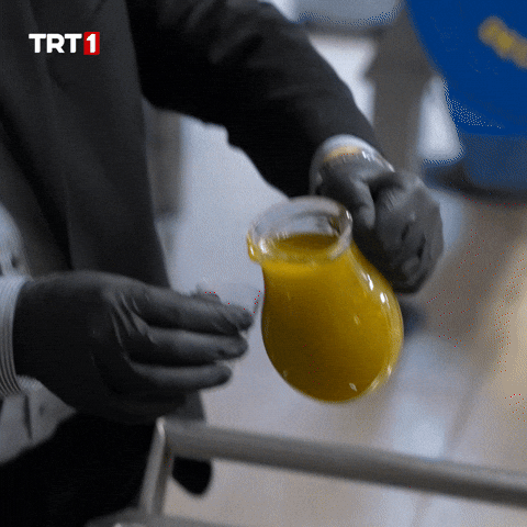 Kitchen Cooking GIF by TRT