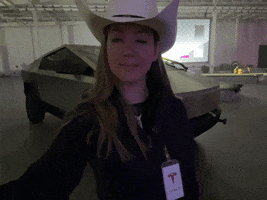 Tesla Cs GIF by ChristaFreeland