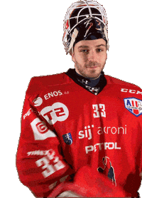 Hockey Goaly Sticker by HDD SIJ Acroni Jesenice