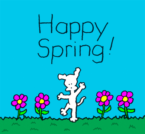 Spring Dancing GIF by Chippy the Dog