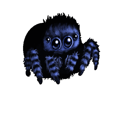 Spider Jumping Sticker