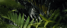 Spying Jurassic World GIF