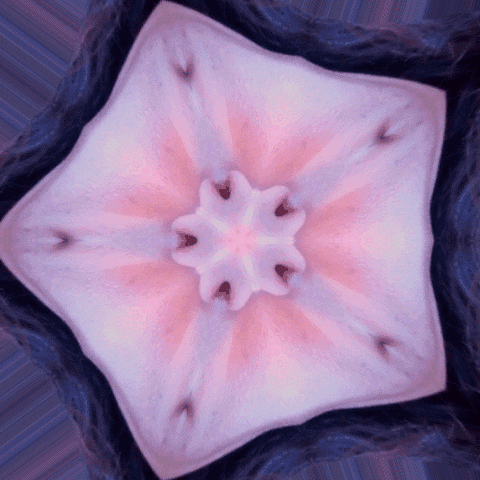 face kaleidoscope GIF by chuber channel