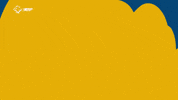 Ucam Murcia Cf Goal GIF by UCAM Universidad