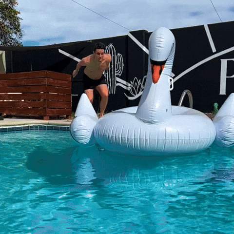 Pool Party Swimming GIF