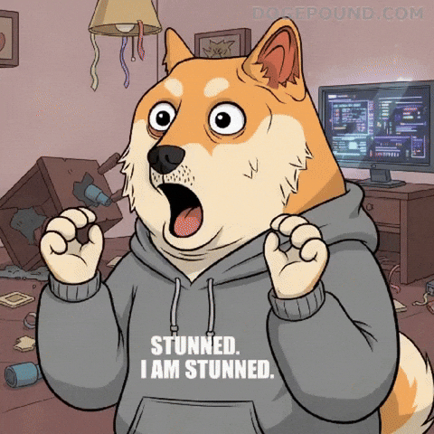 Shiba Inu Wow GIF by Doge Pound